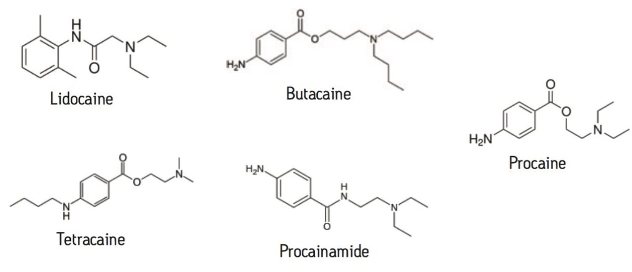 Structures of local anesthetics that were fully resolved using a CORTECS UPLC HILIC Column