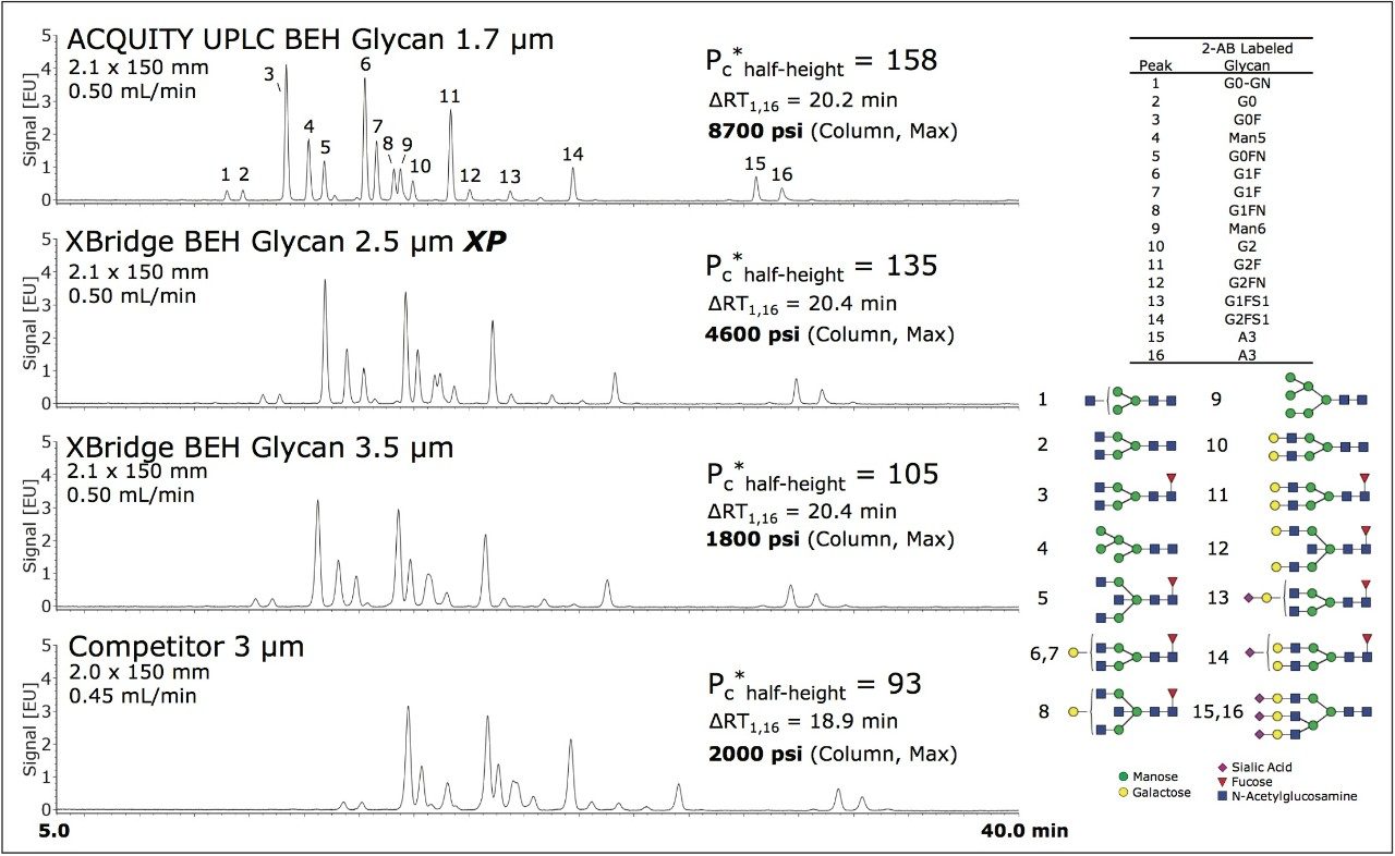 HILIC-FLR analysis 