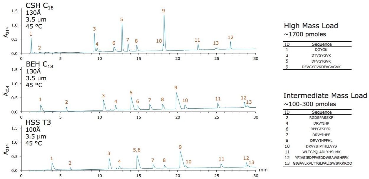 C18 stationary phases and peptide retention