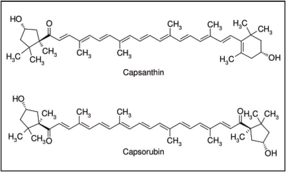  Natural colored compounds found in chili oleoresin.