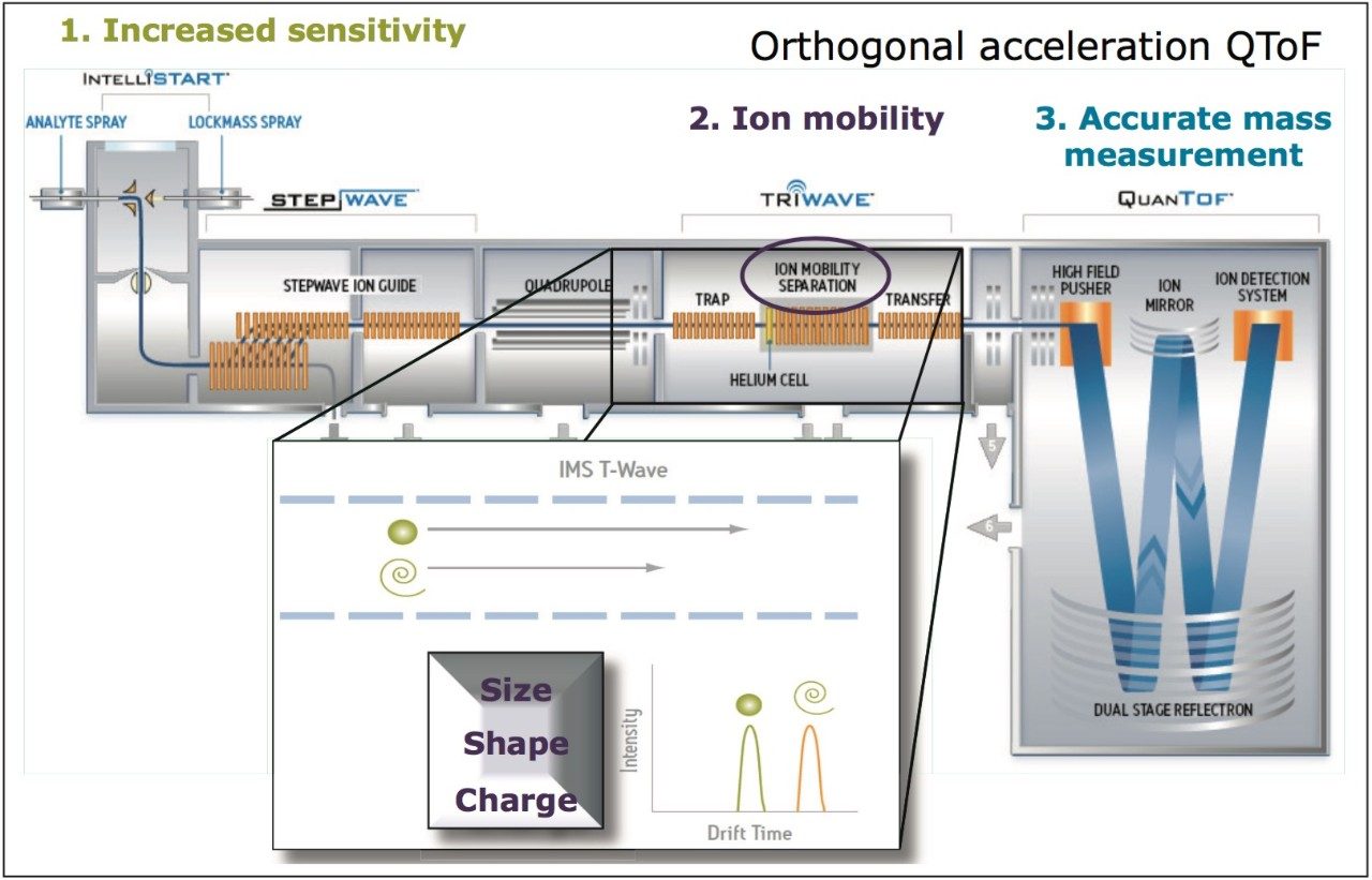 Schematic of the SYNAPT G2-S HDMS and an illustration of the mechanism of ion mobility