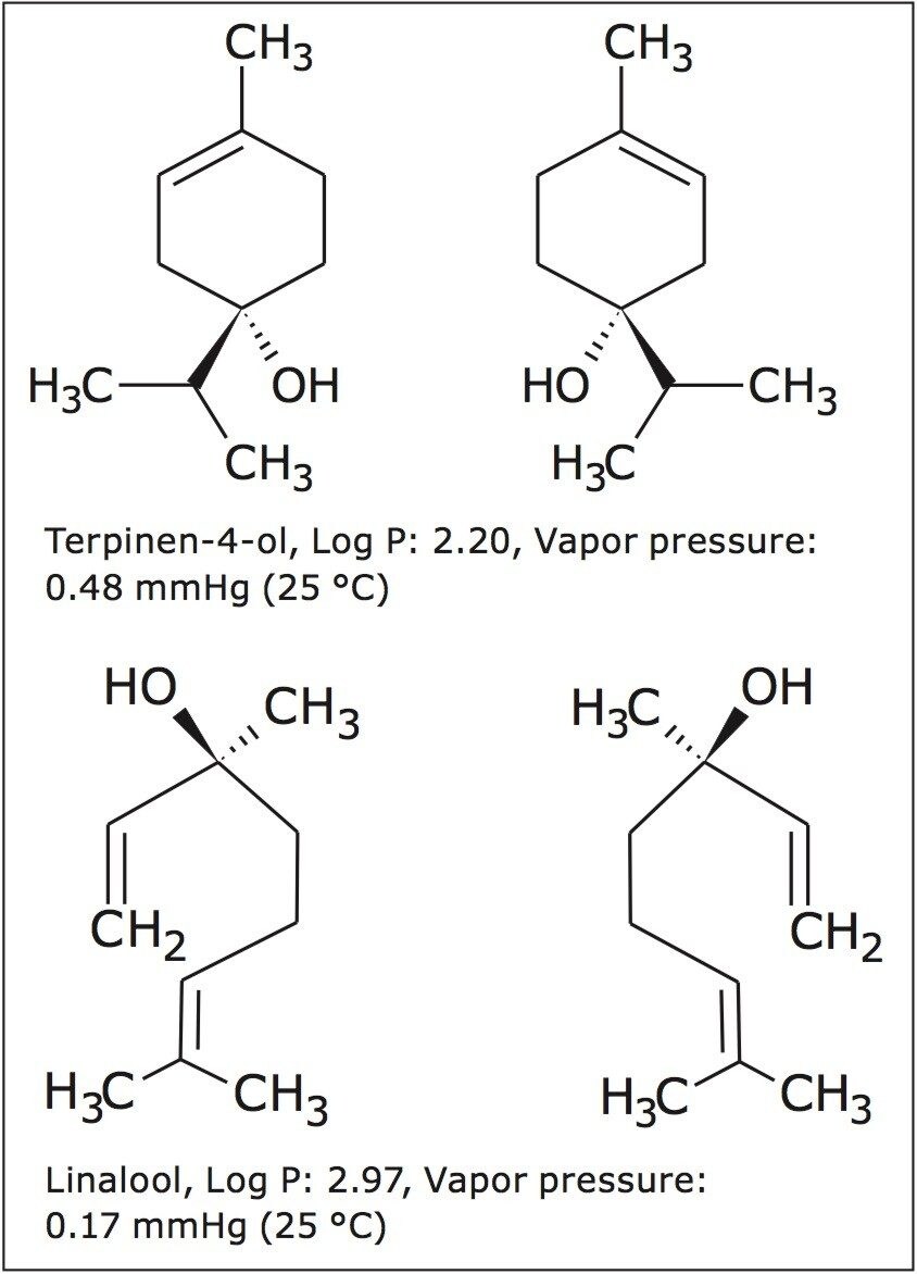 Chemical structures, Log P, and vapor pressure values for terpinen-4-ol and linalool