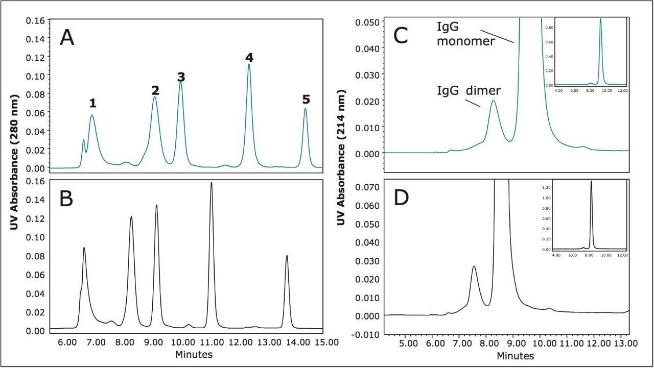 comparison of separations of Waters BEH200 SEC Protein Standard Mix