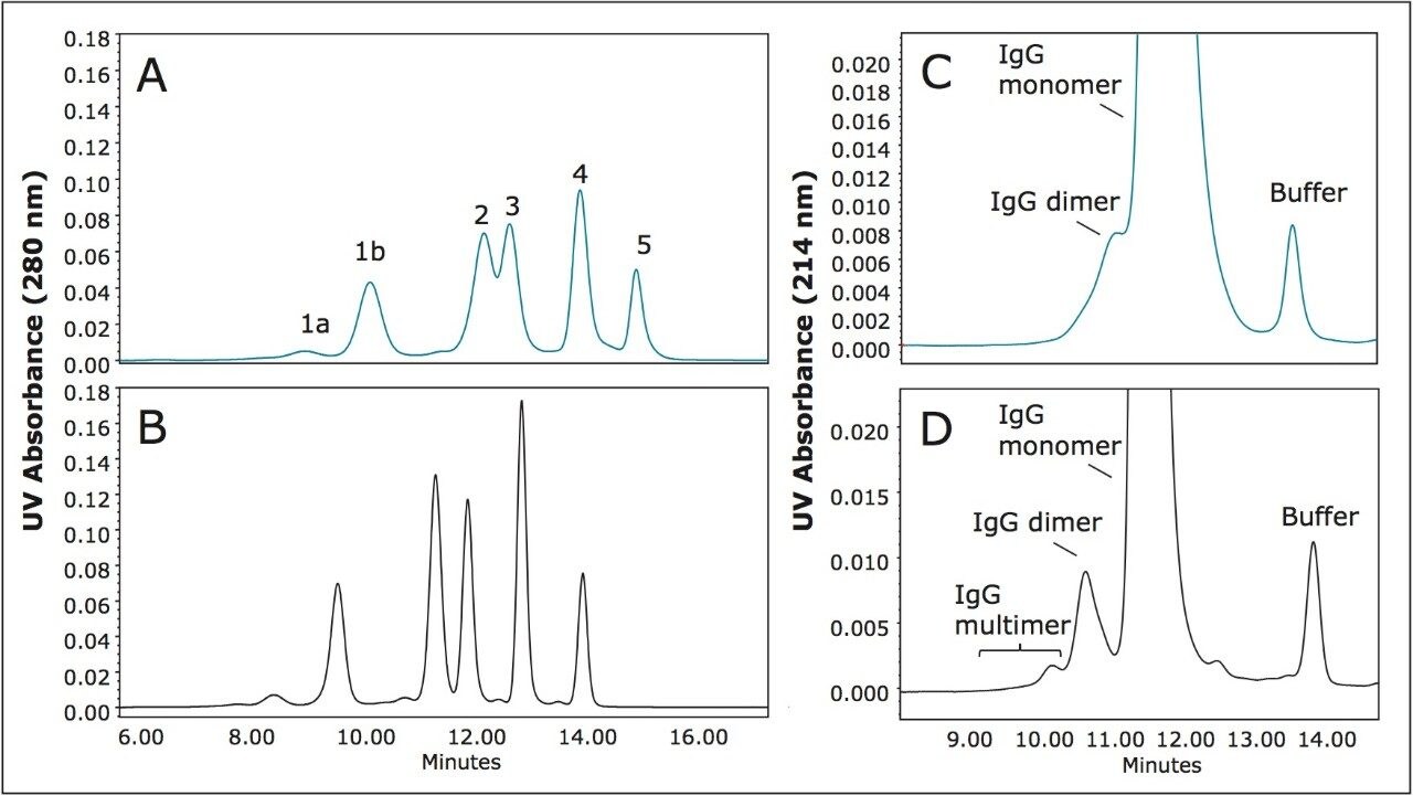  comparison of separations of Waters BEH450 SEC Protein Standard Mix