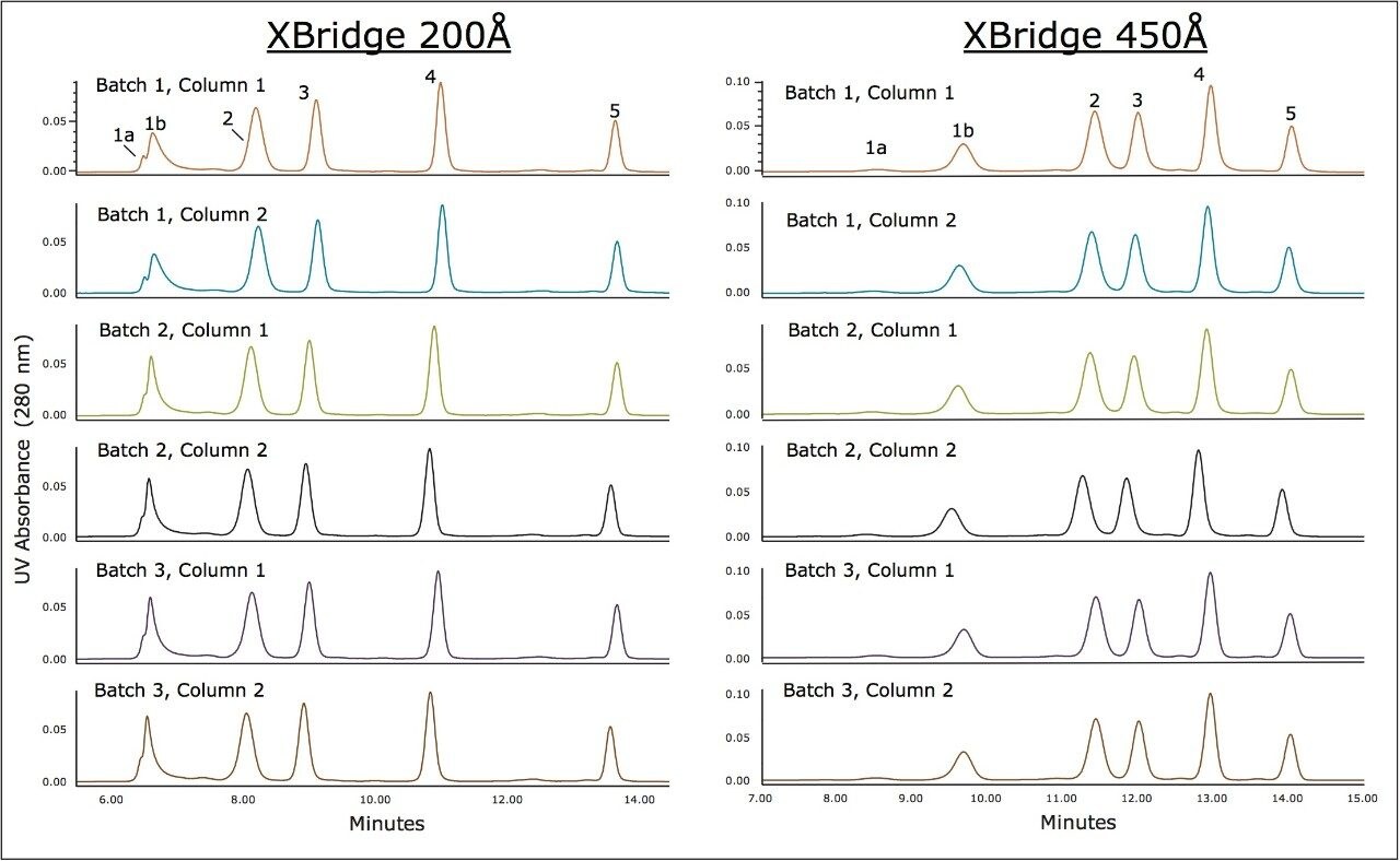 overlays of the separations of Waters BEH200 SEC Protein Standard Mix