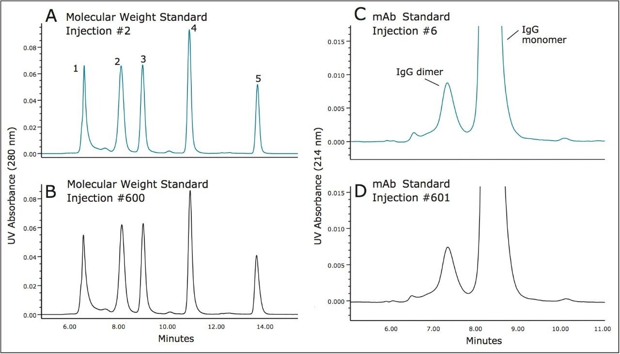 comparisons of column lifetime study separations of Waters BEH200 SEC Protein Standard Mix 