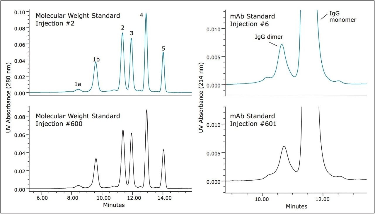 comparisons of column lifetime study separations of Waters BEH450 SEC Protein Standard Mix