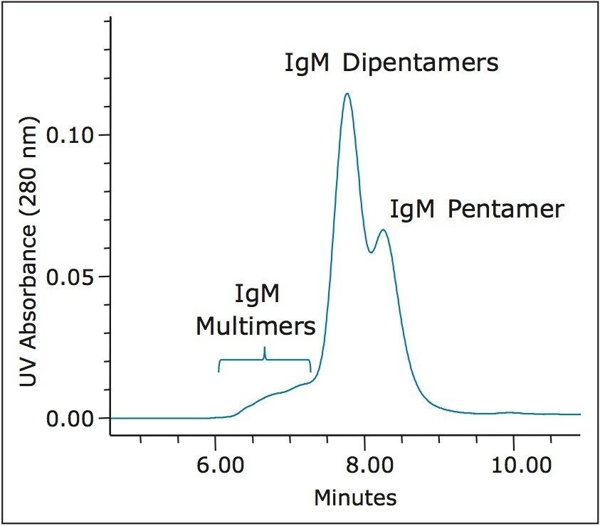  separation of IgM pentamer, IgM dipentamer, and the multimeric forms of pentameric IgM separated on a BEH, 450Å, 3.5 μm SEC column