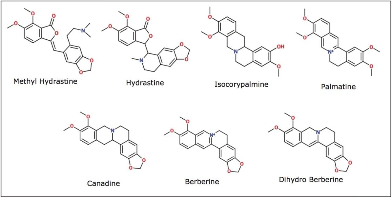  Structures of identified alkaloids