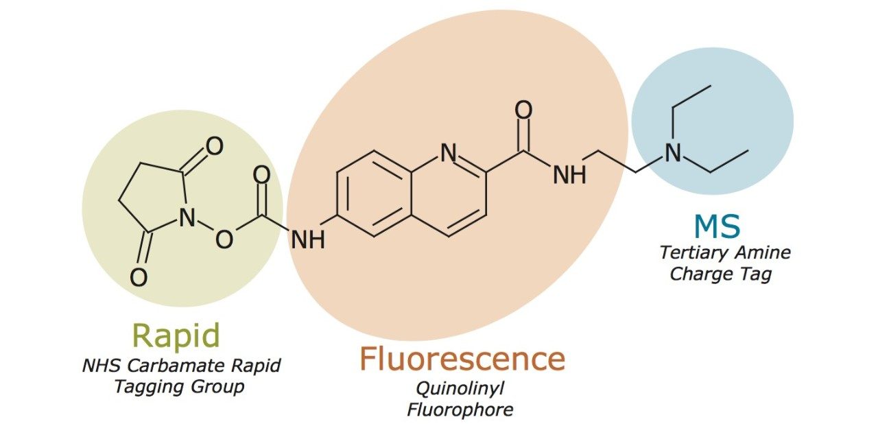 Figure 1. RapiFluor-MS Molecular Structure.