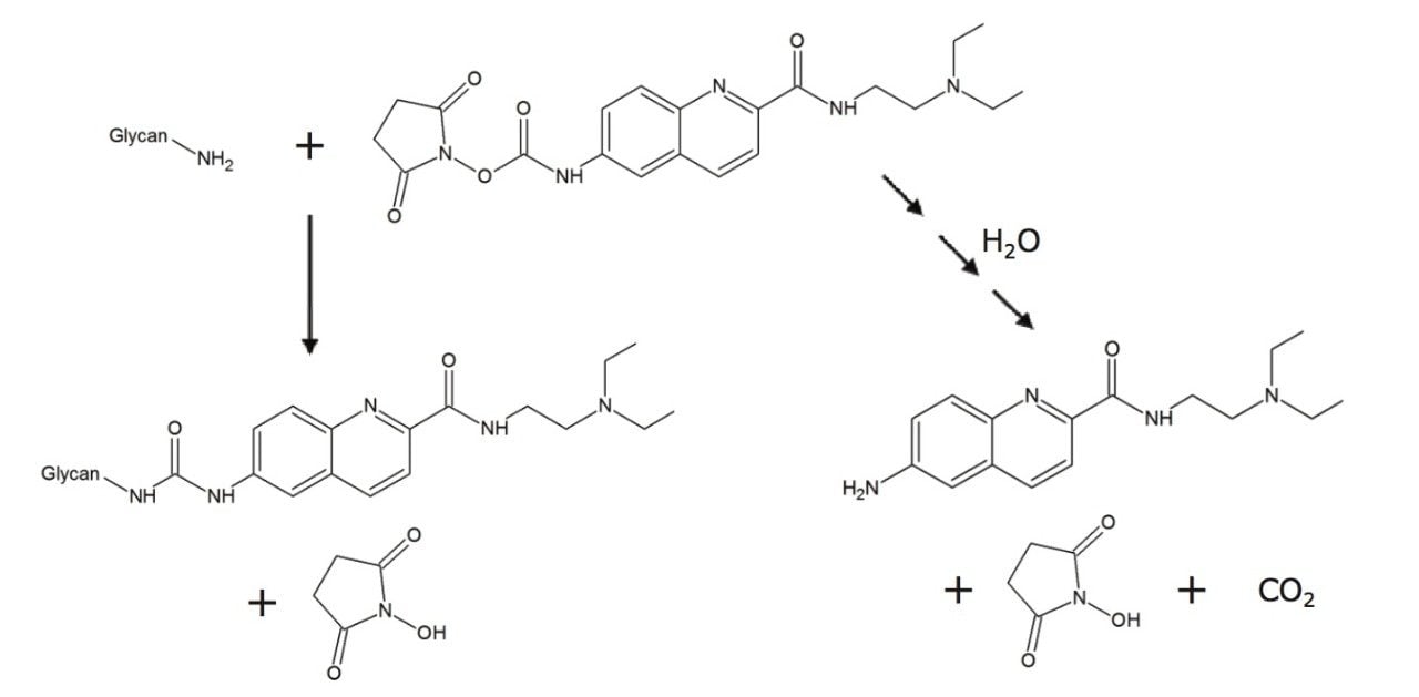 Figure 2. Reaction Schematic for RapiFluor-MS Derivatization of an N-glycosylamine.