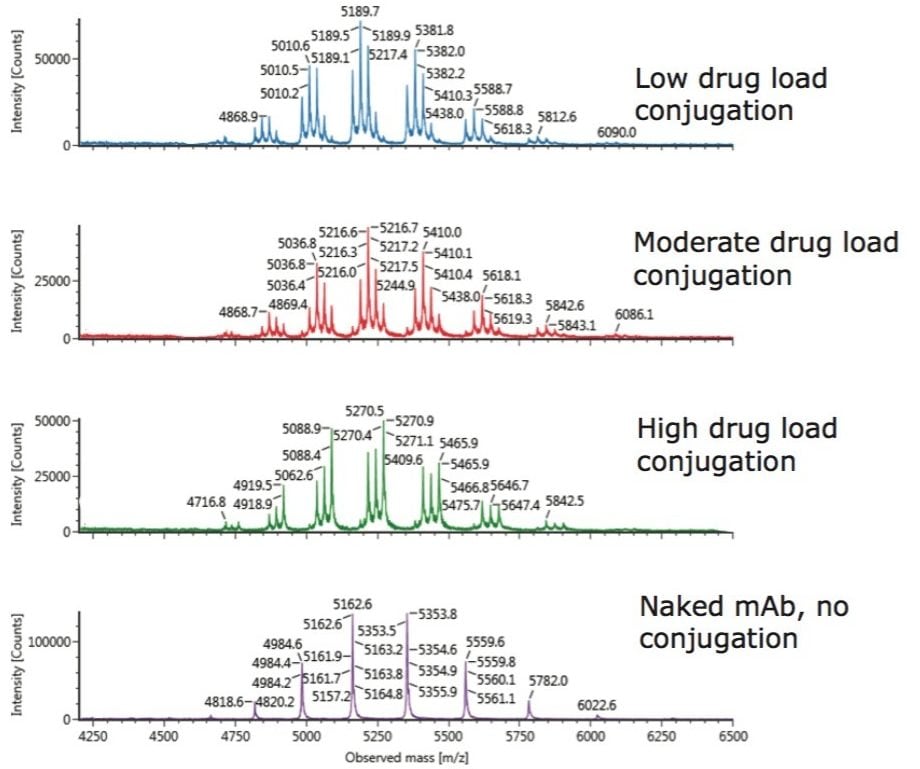 Native SEC LC-MS raw spectra of cysteine-conjugated ADC 