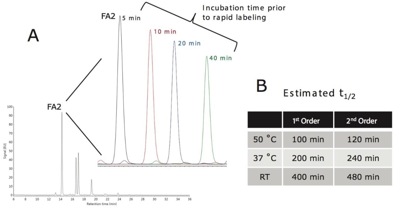 Estimating the half-life of N-glycosylamine hydrolysis through a time-course on deglycosylation incubation. 