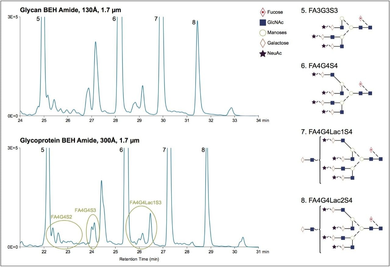 Glycan BEH Amide vs Glycoprotein BEH Amide