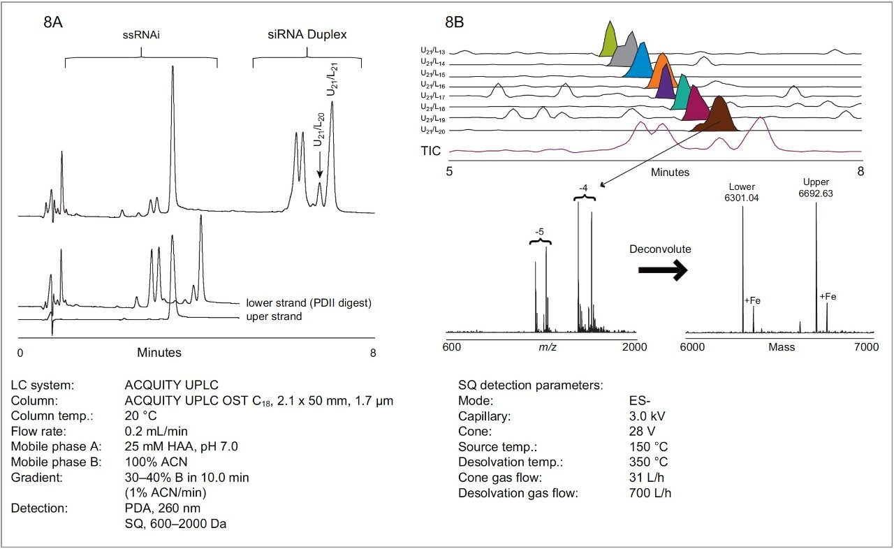 Separation of siRNA duplexes and single stranded RNA