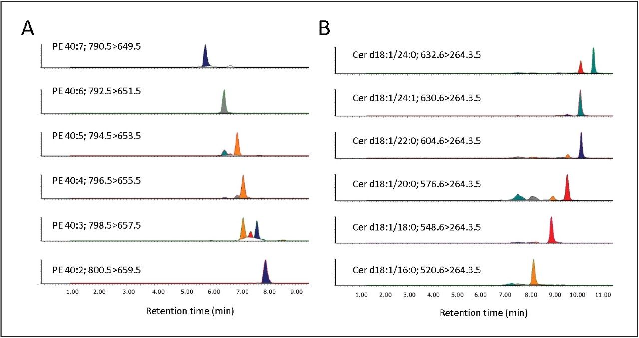 Representative extracted ion chromatograms