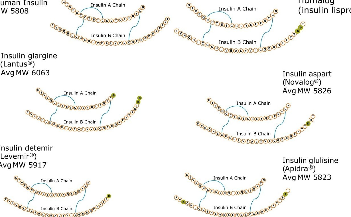 Structures for human insulin and analogs quantified in this application