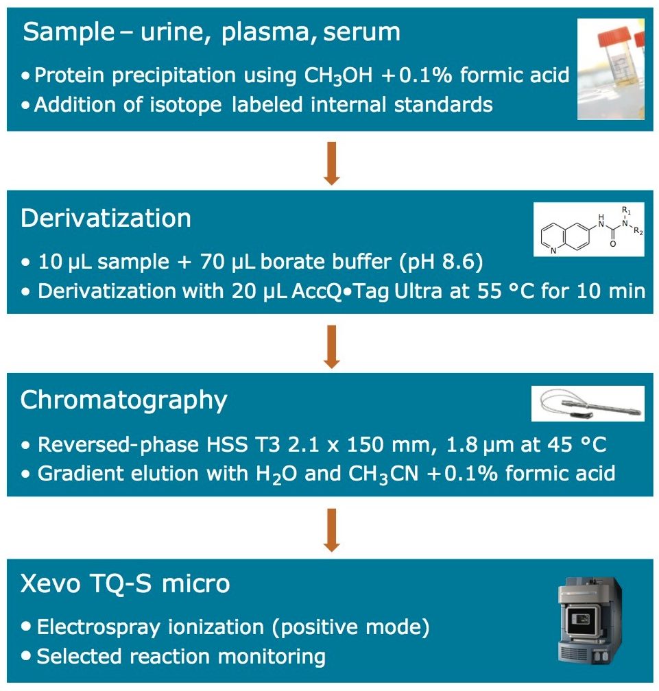 Sample preparation scheme for amino acid analysis.