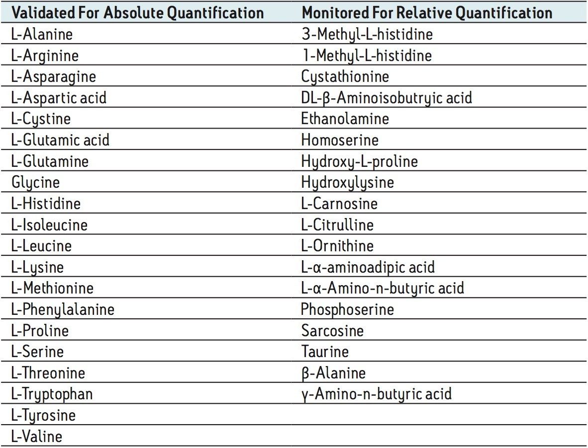 Amino acids subjected to absolute and relative quantification.