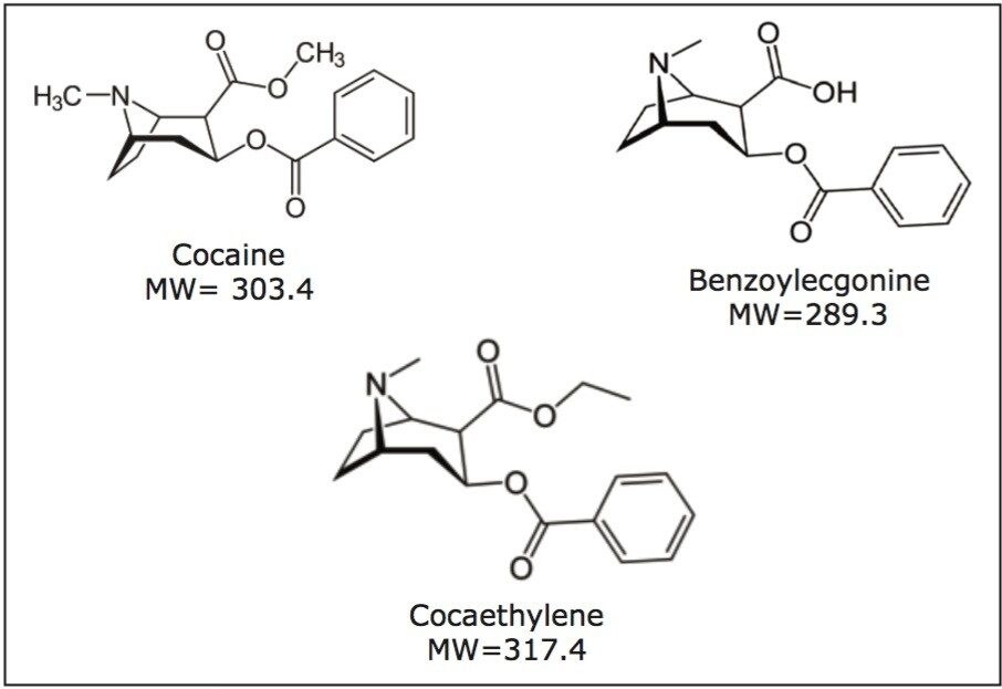 Chemical Structures and molecular weights for Cocaine Benzoylecgonine, and Cocaethylene