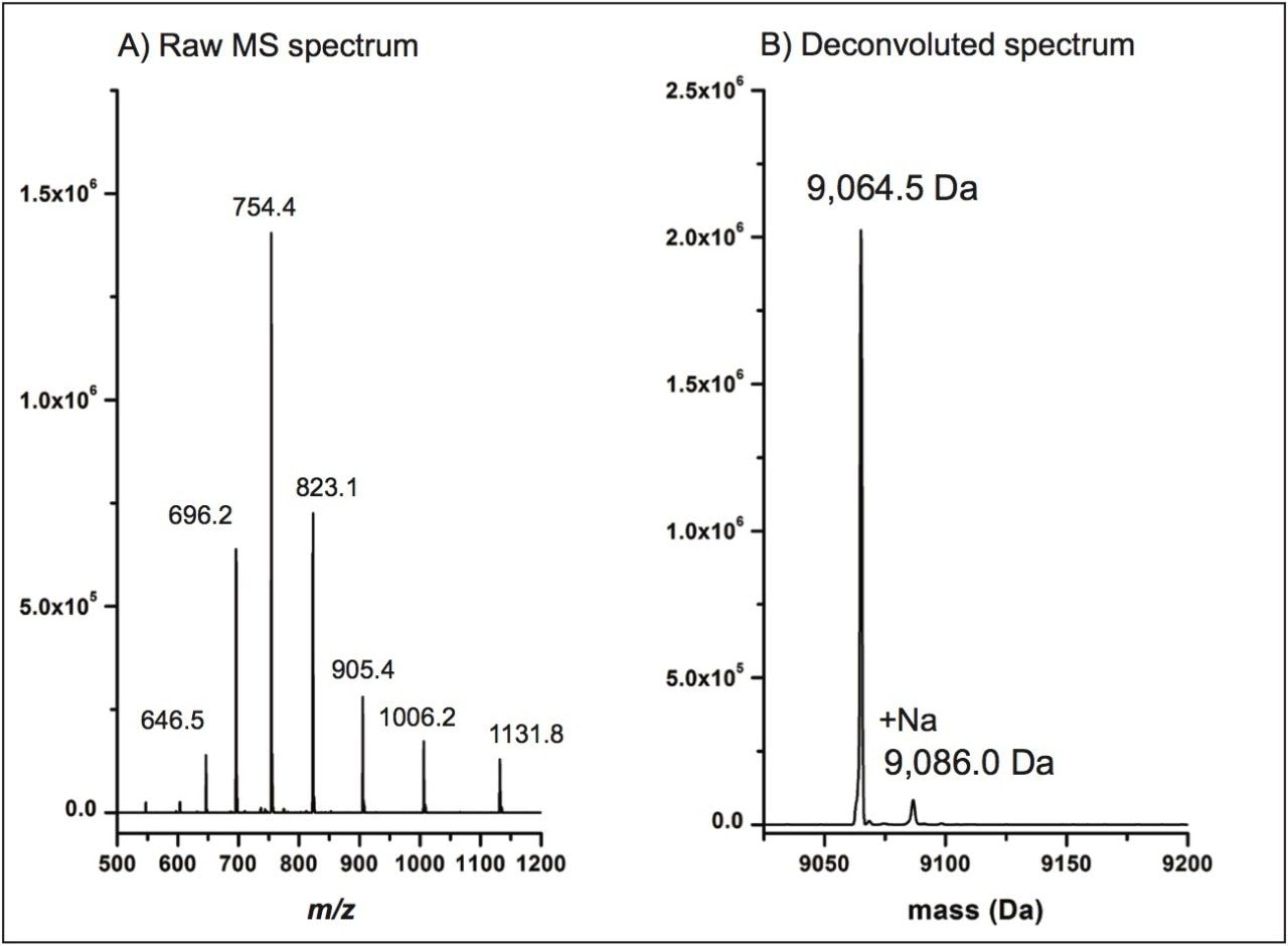 MaxEnt1 Deconvolution of MS spectrum