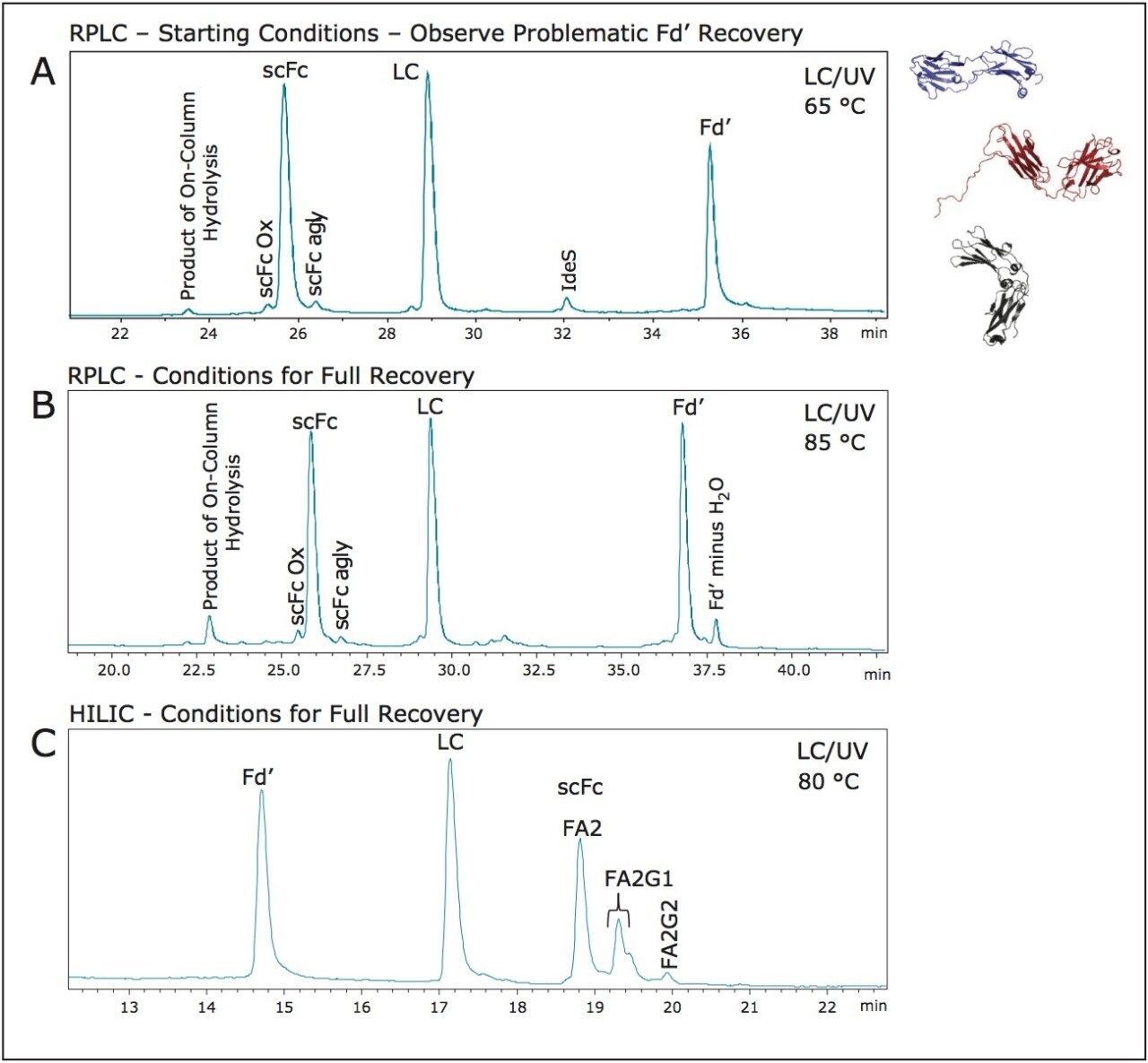 Comparison of RPLC and HILIC for mAb subunit analysis