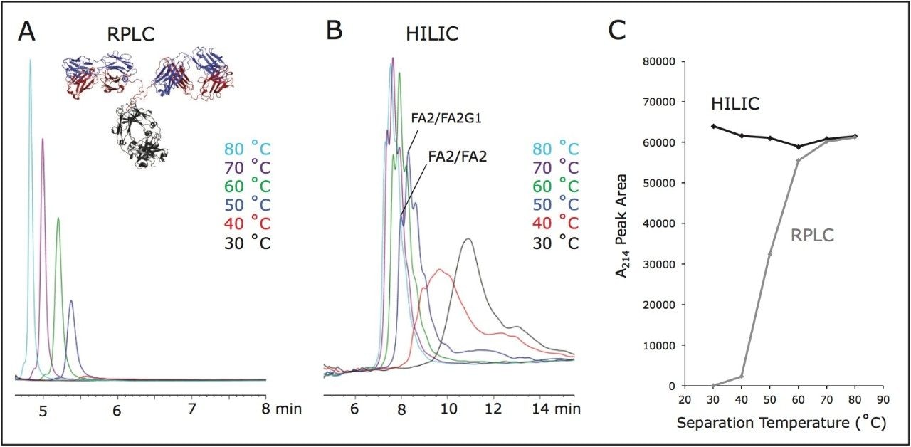 Temperature dependence of HILIC versus RPLC