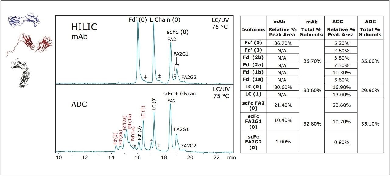 Hydrophilic Interaction Chromatography of a mAb versus its ADC