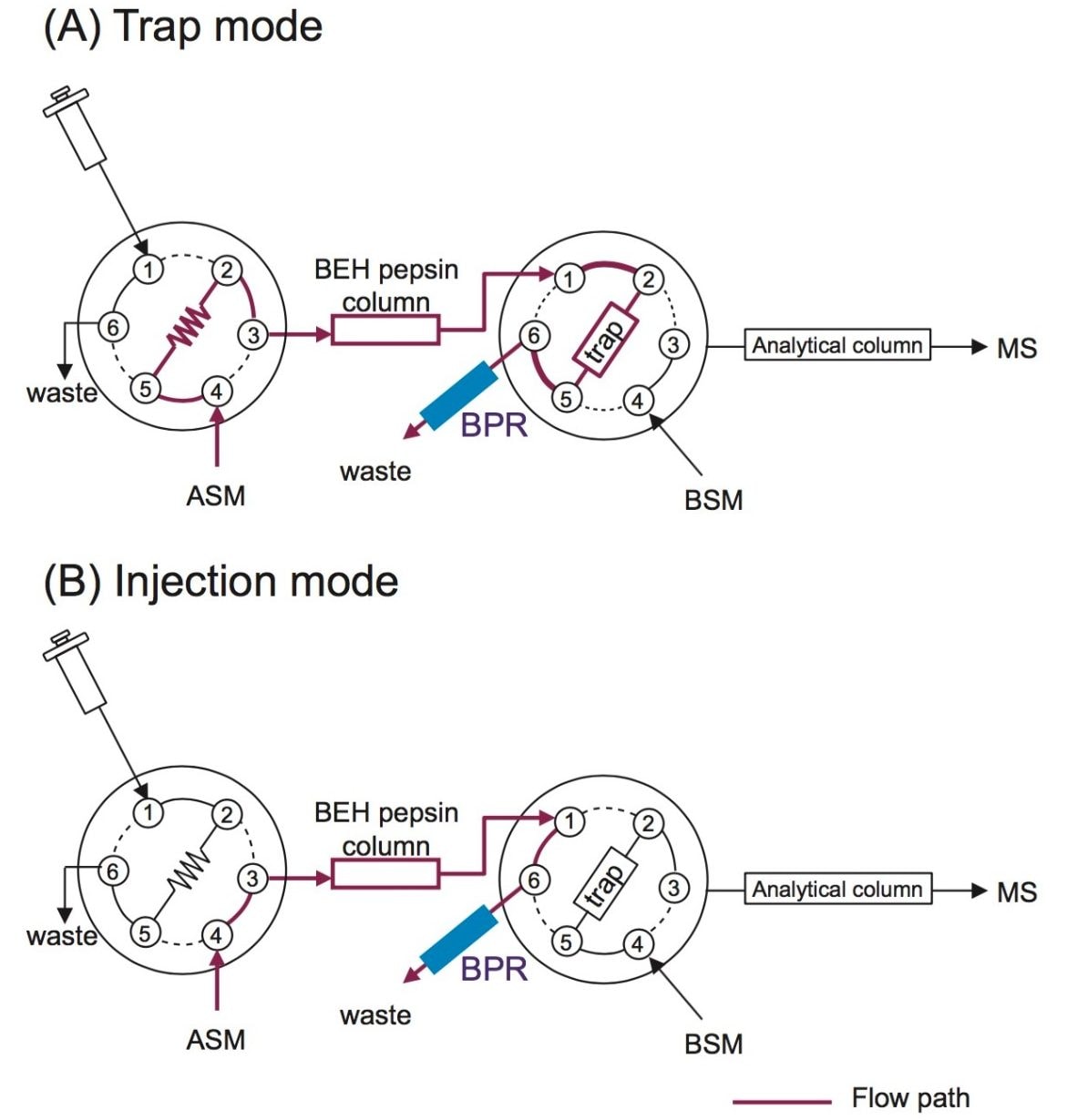 Fluidic schematic for the flow path in Trap (A) and Injection (B) modes. 