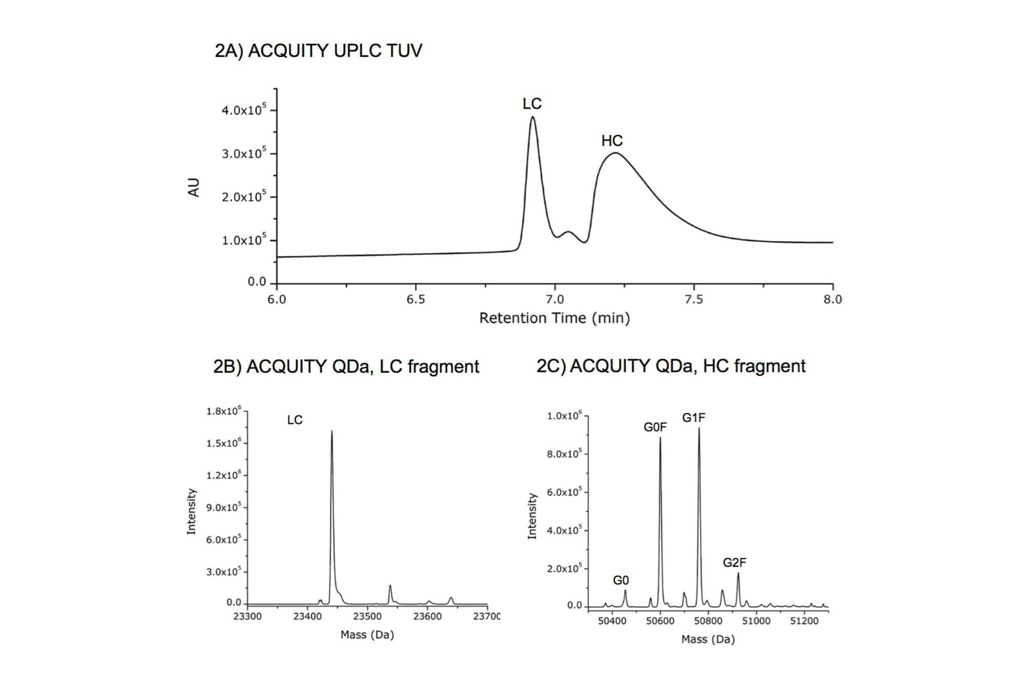 Process Monitoring of Monoclonal Antibody Subunits for Fast, Critical ...