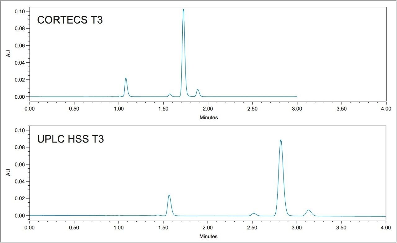 Comparison of a solid-core particle