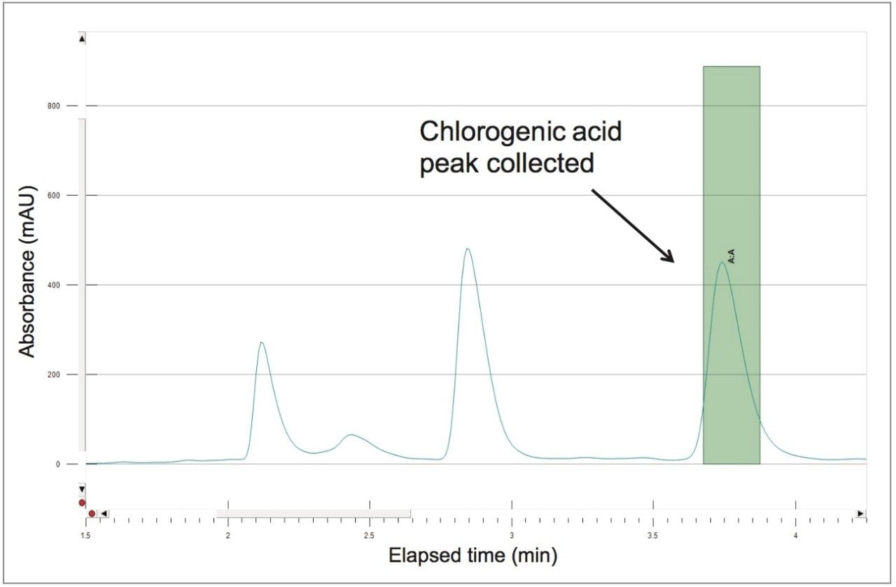 Chlorogenic acid peak collected at prep scale