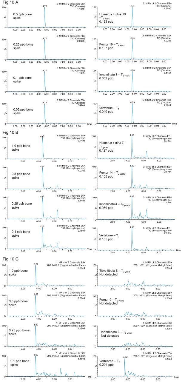 Rat bone chromatograms at T0 year and T2 year