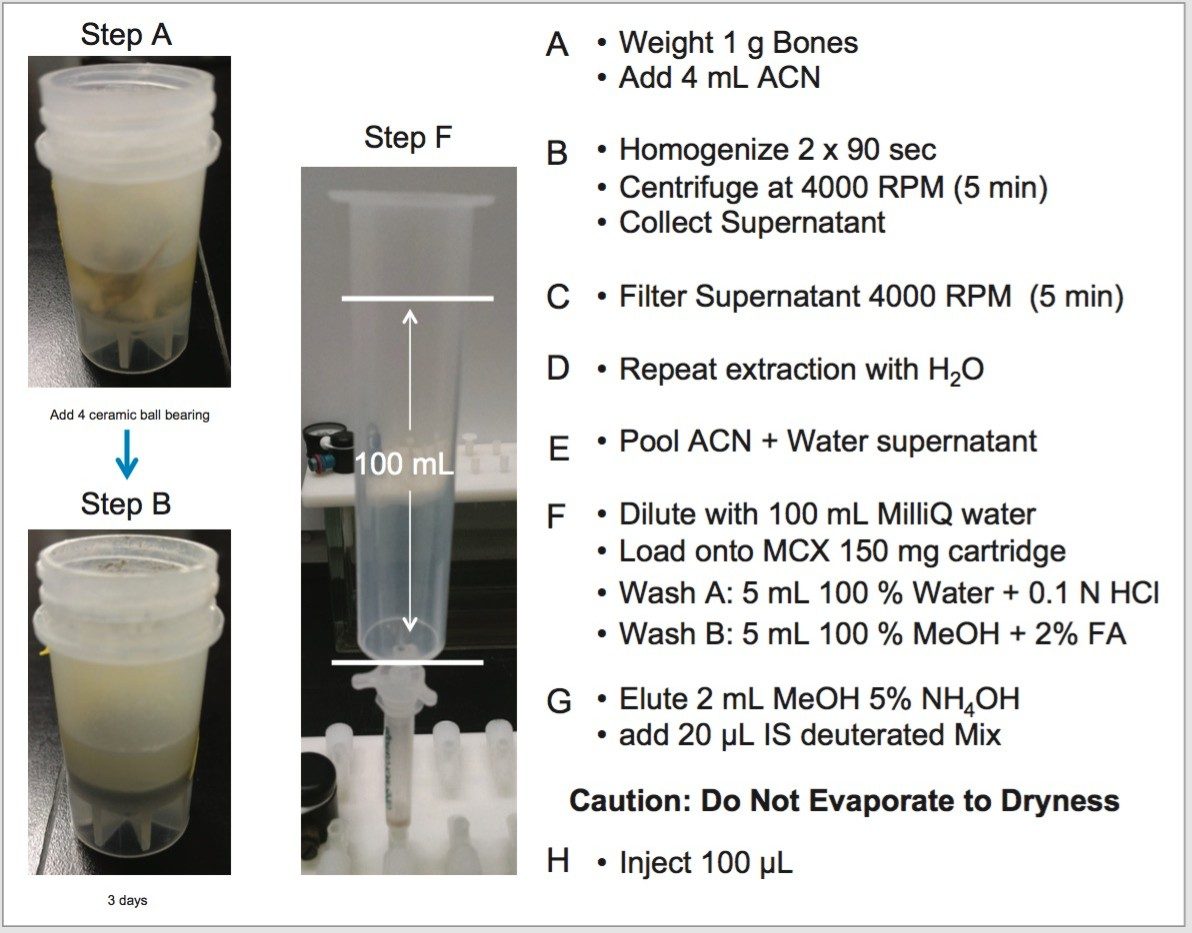 Extraction protocol for cocaine, benzylecgonine, and ecgonine methyl ester in rat bones