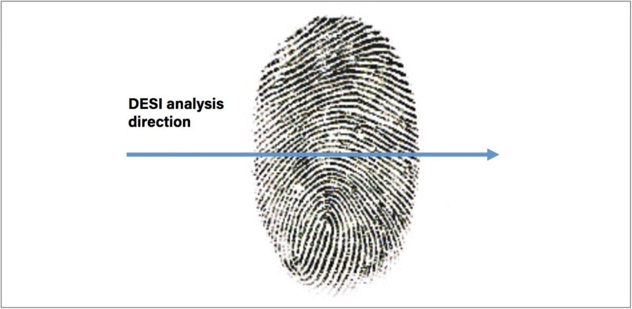 DESI analysis on a fingerprint deposited on a microscope glass slide