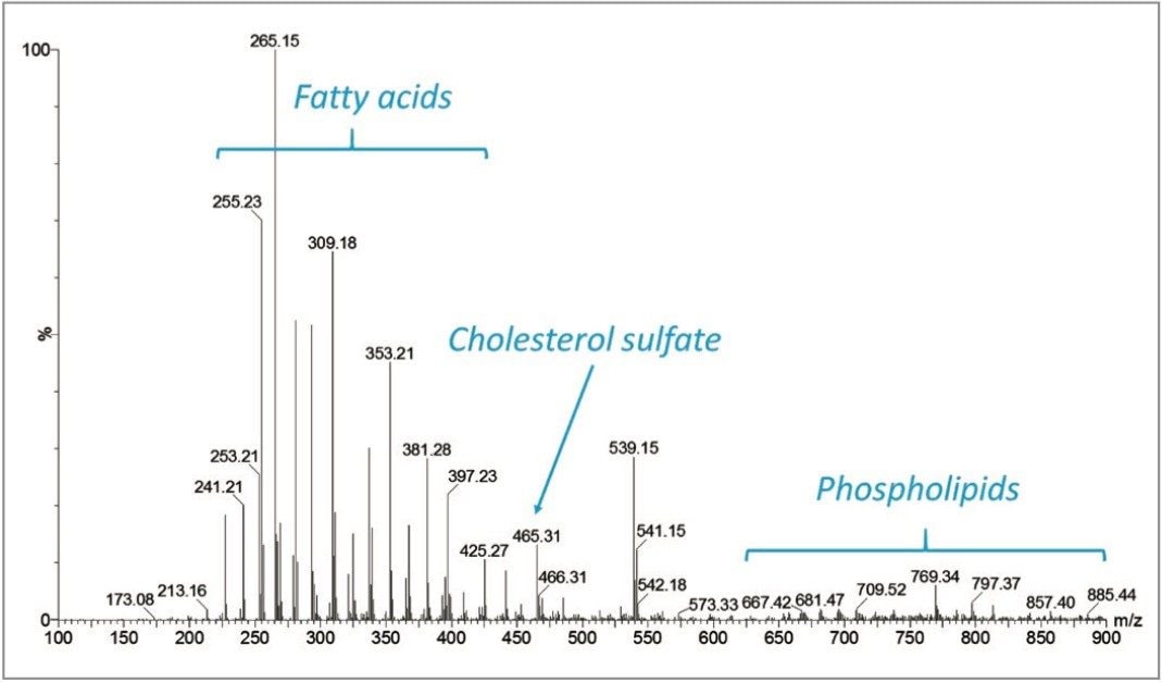 Mass spectrum of a fingerprint in positive mode with lockmass correction and background subtraction