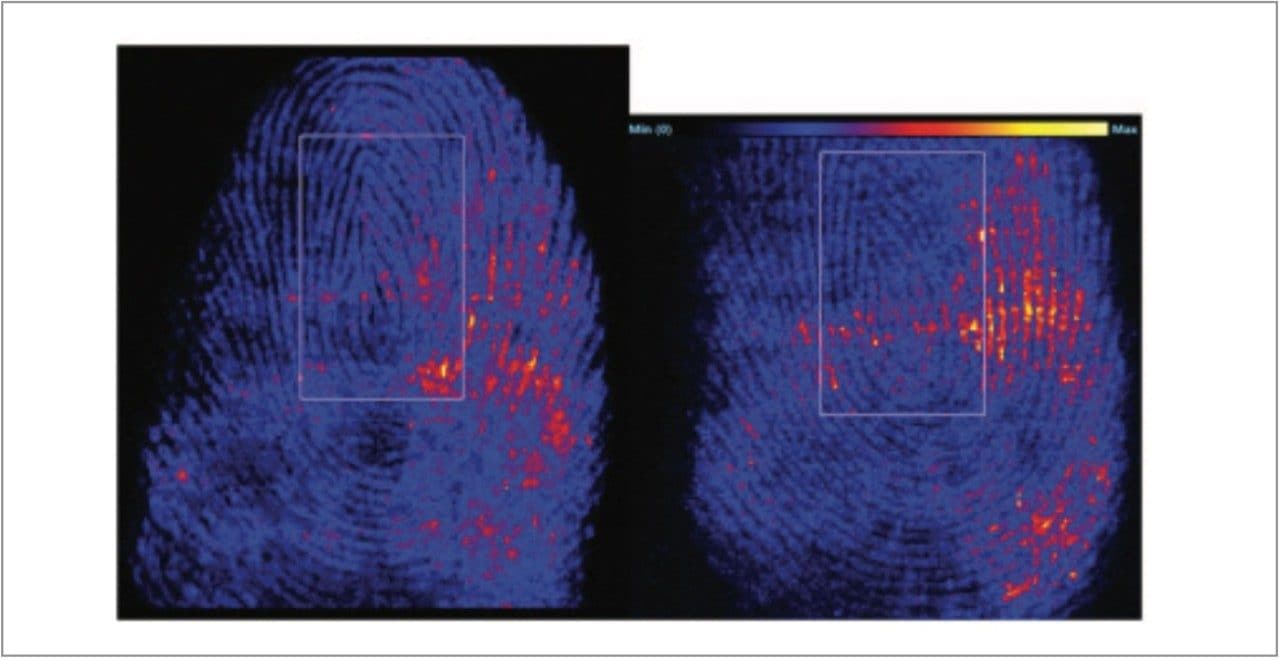 Fingerprint image 