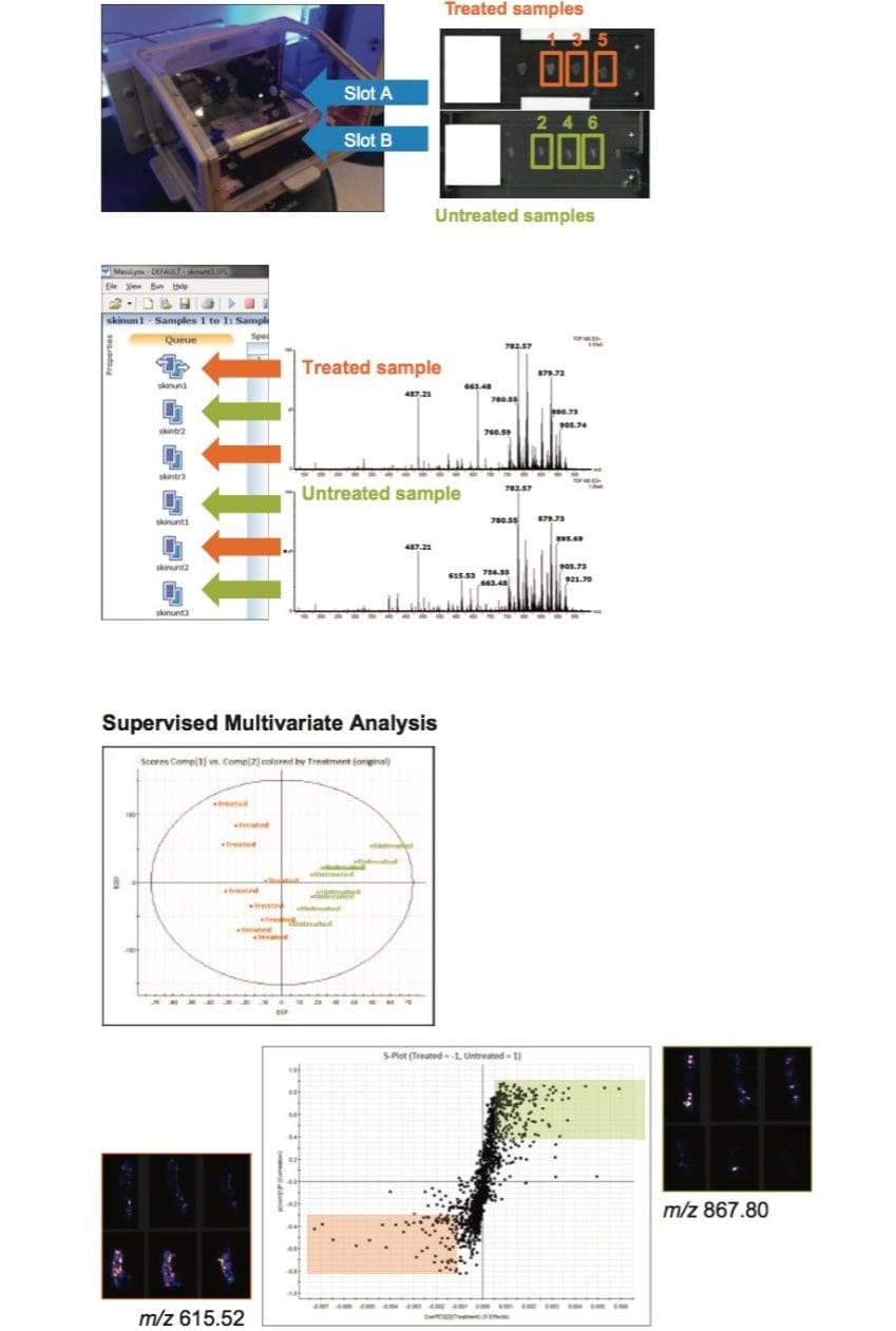 Multiple DESI imaging experiments of different tissue sections.