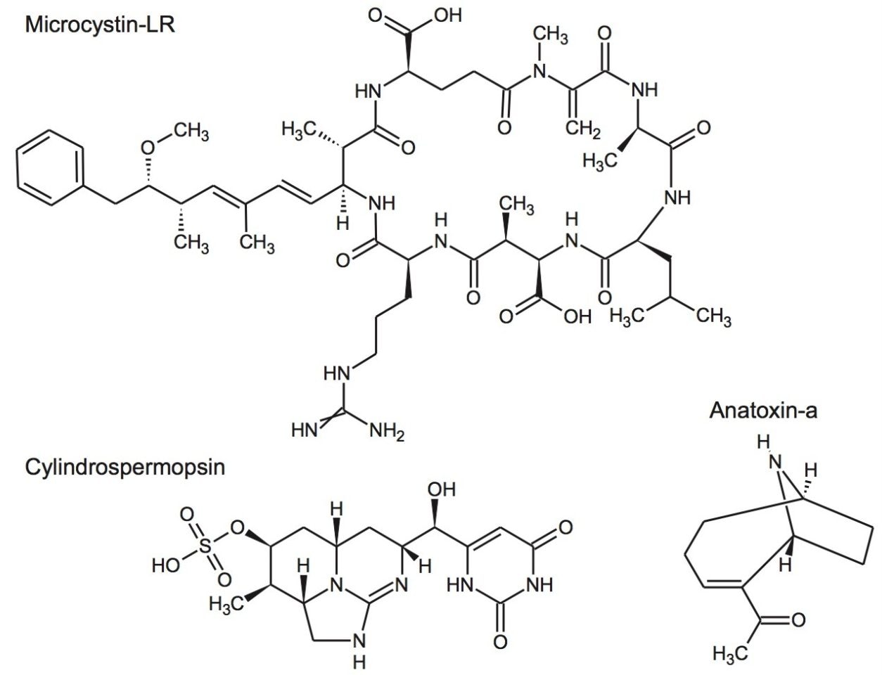 Structures of three of the cyanotoxins analyzed in this study.