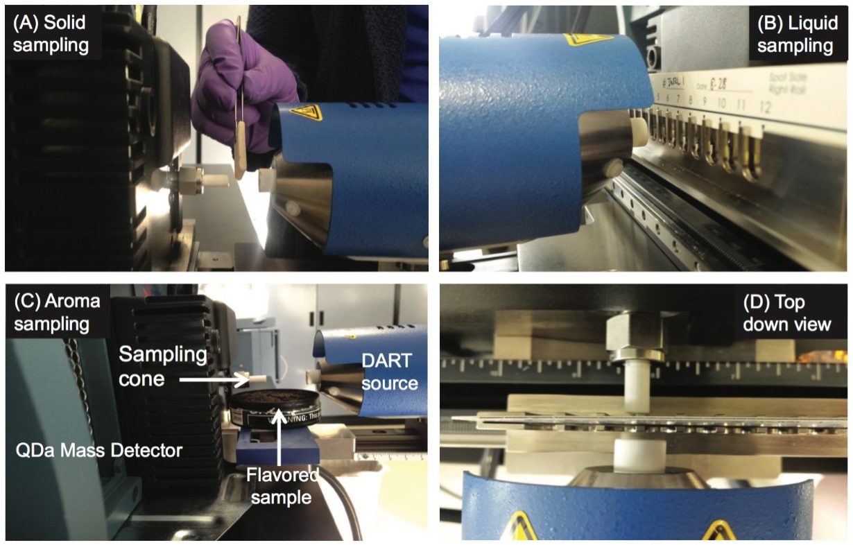 DART-MS sampling options