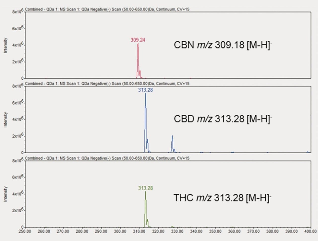 Figure 2. Derivatized HPTLC plate under white light (remission). 