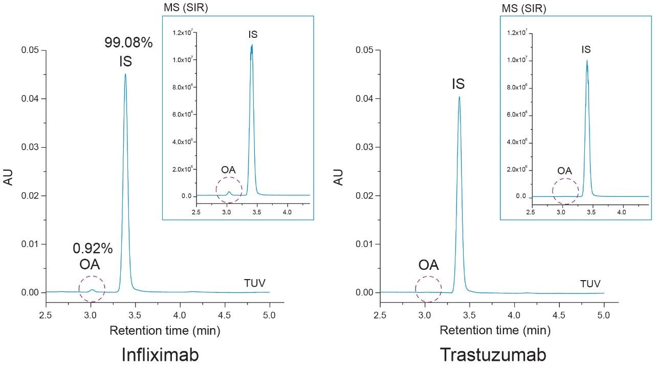 Hydrolyzed mAb oleic acid results. Oleic acid (OA) was detected in the infliximab sample at a concentration below 1% relative to the internal standard (IS) following base hydrolysis. Oleic acid was not detected in the trastuzumab sample. Results were confirmed using MS-based detection (inset).