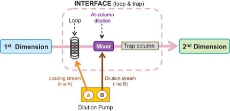 Multi-dimensional liquid chromatography  for loop and trap interface  with At-column dilution approach for heart-cutting  a chromatographic peak.