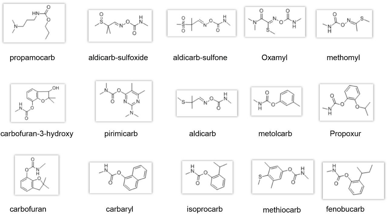 Structures of the carbamates analyzed in this study.