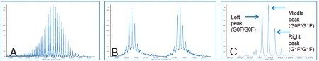 (A) MS spectrum of trastuzumab, m/z ~2000–3500, (B) Zoomed charged states, and (C) Deconvoluted spectrum.