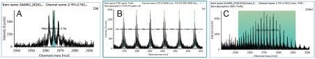 Example of peaks selected for data processing. 