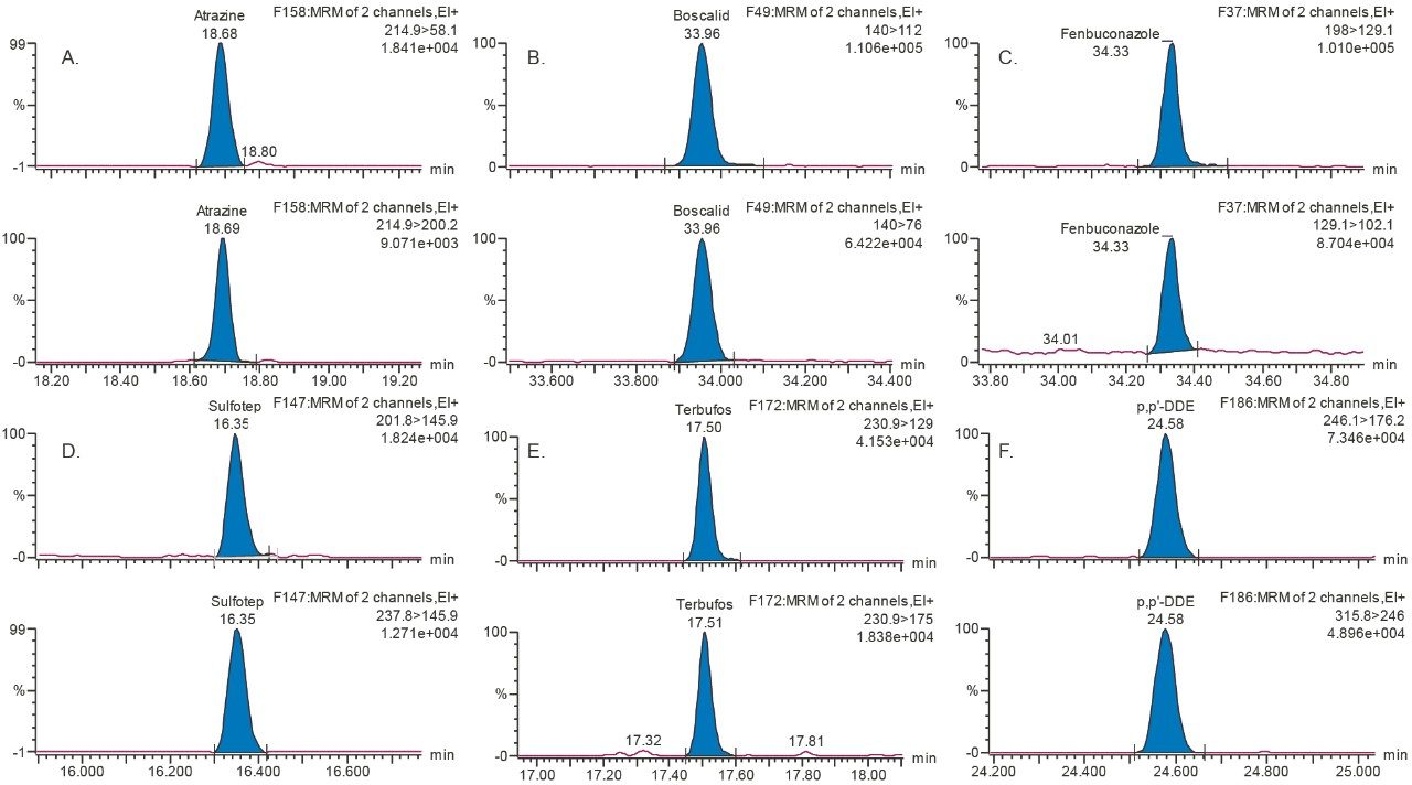 Two MRM transitions of A. atrazine, B. boscalid, C. fenbuconazole, D. sulfotep, E. terbufos, and F. p,p’-DDE spiked at 0.01 mg/kg  (typical MRL) in rice.