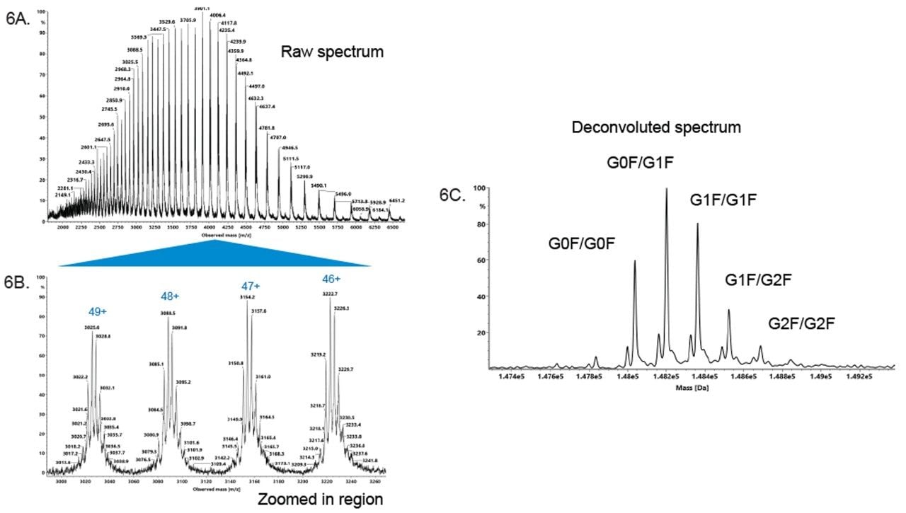 Intact mass spectrum from mobile phases with 0.1% TFA.