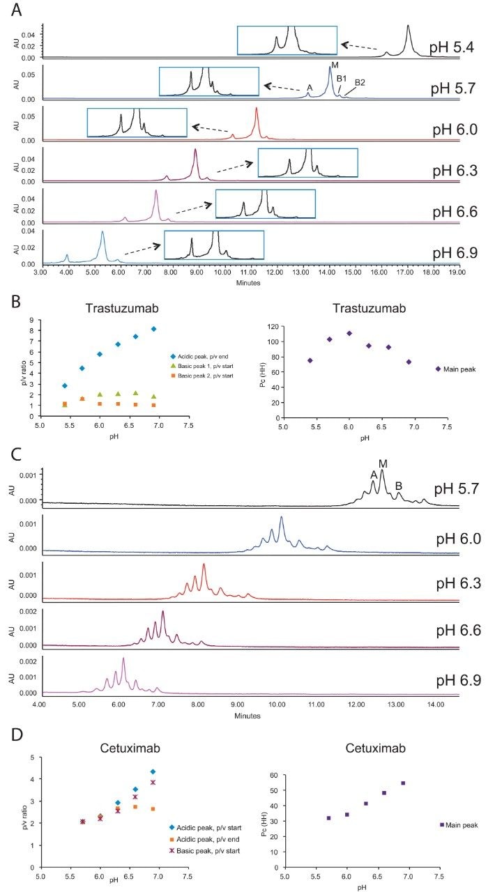 Effect of pH on mAb charge variant separations. A and B: Trastuzumab, 20 mM MES, 50–155 mM NaCl in 15 minutes. C and D: Cetuximab, 20 mM MES buffer, 25–110 mM NaCl in 10 minutes. The arrows point to the rescaled figures that show details of low abundance  peak separation.