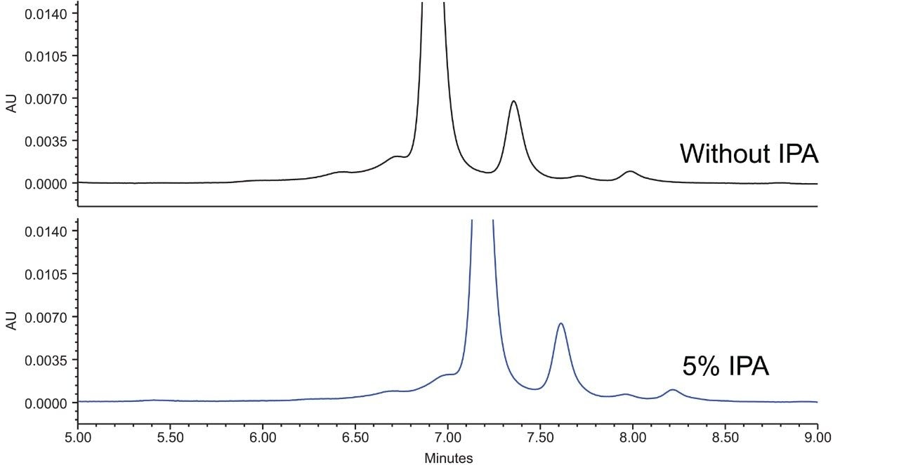 Effect of isopropanol as a mobile phase additive on adalimumab charge variant separation; 20 mM MES, pH 6.0, 115–155 mM NaCl in 5 minutes.